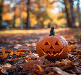 stockcake-autumn_pumpkin_scene_1726770216.jpg