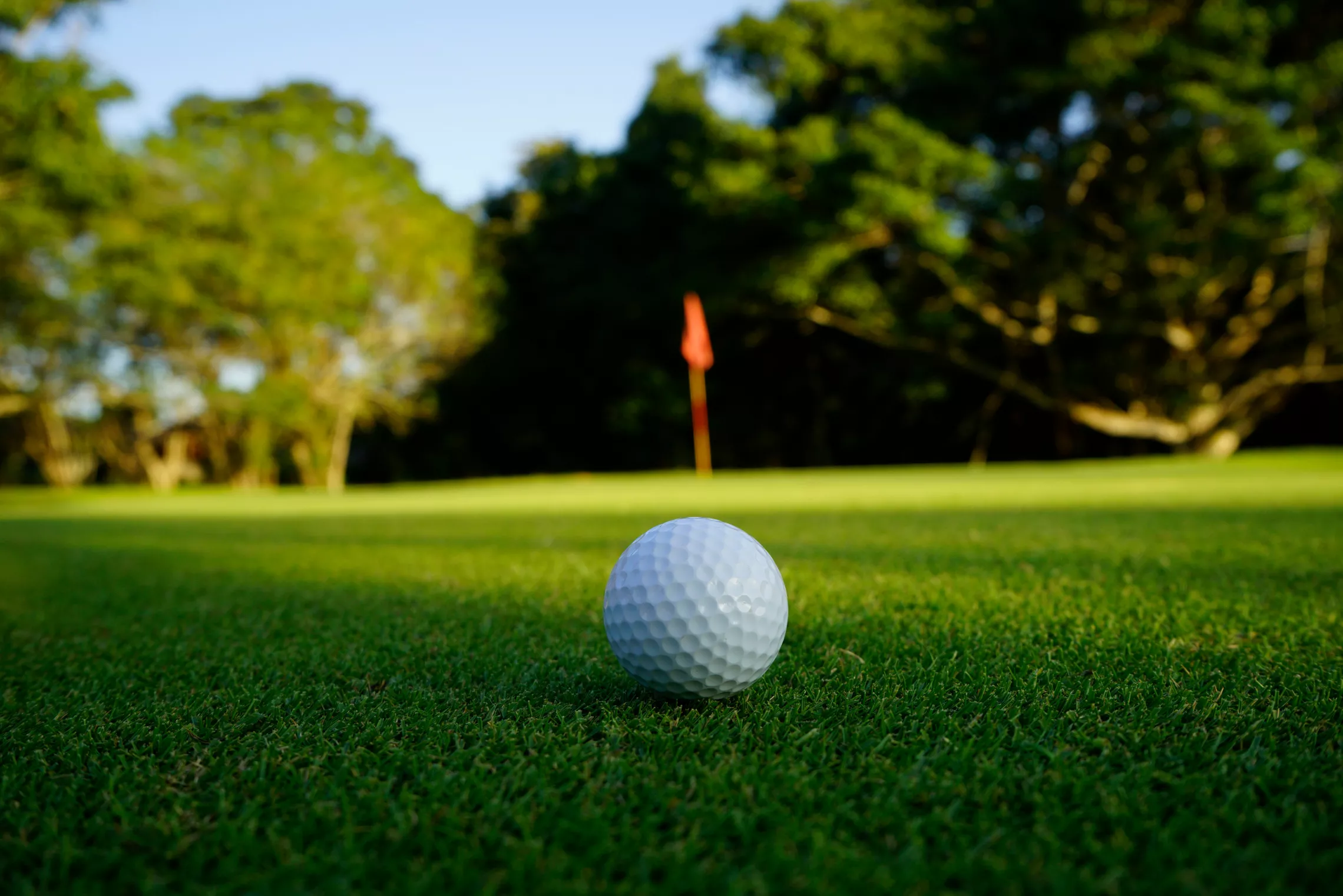 Golf ADOBE