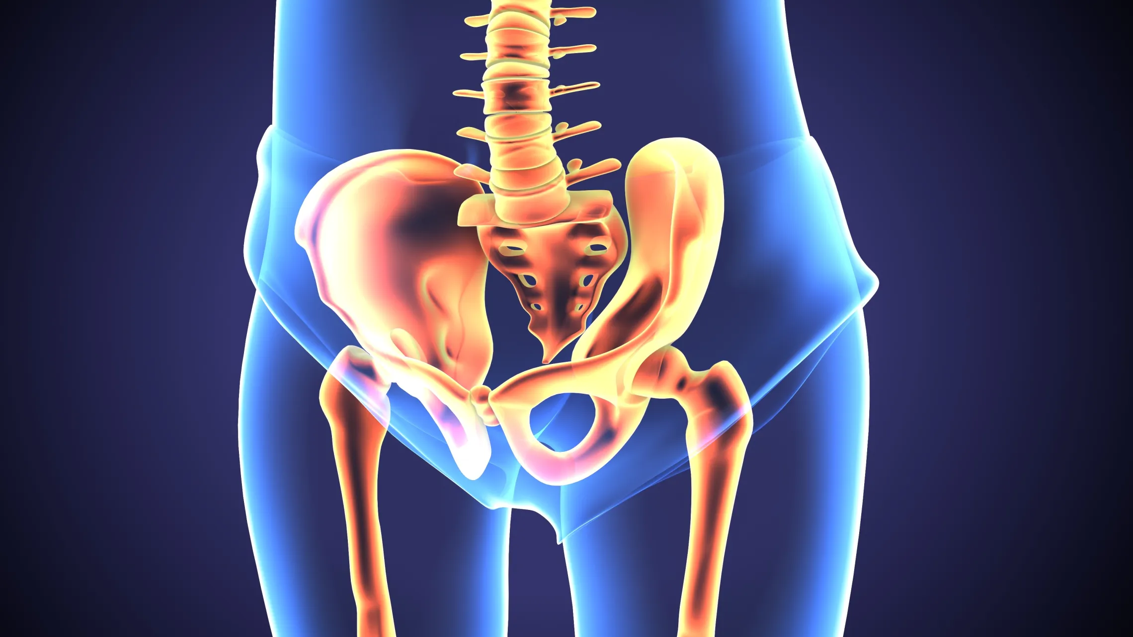 Pelvic Floor ADOBE